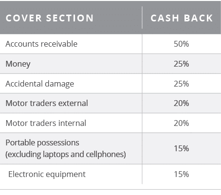 ,,Cover section,Cash back,,,Accounts receivable ,50%,Money,25%,Accidental damage,25%,Motor traders external,20%,Motor   