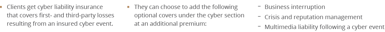   Business interruption   Crisis and reputation management    Multimedia liability following a cyber event,  They can   