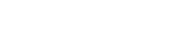 Through a dedicated service provided by AVeS Cyber Security, Discovery Business Insurance clients get access to IT su   