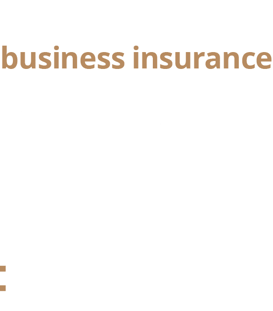 Shared-value business insurance,Our comprehensive business insurance offering was built on the Vitality chassis as we   