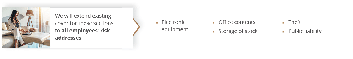 We will extend existing cover for these sections to all employees  risk addresses,  Electronic equipment   Office con   