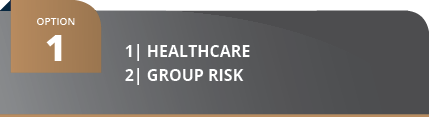 1  HealthCARE 2  Group Ris