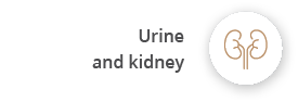 Urine and kidney