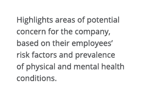 Highlights areas of potential concern for the company, based on their employees  risk factors and prevalence of physi   