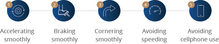 Avoiding cellphone use,Avoiding speeding,Cornering smoothly,Braking smoothly,Accelerating smoothl
