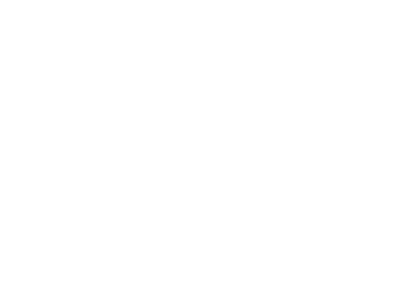 Introducing the Discovery Dollar Capital,50:5
